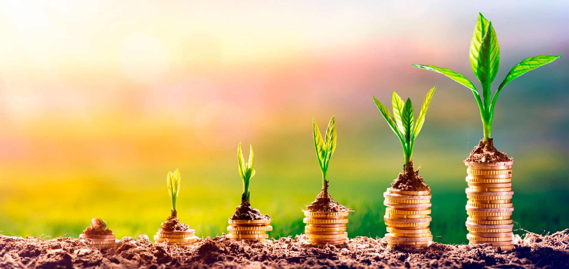 Imagem evolução de uma pnta indicando a sustentabilidade e remetendo ao ESG